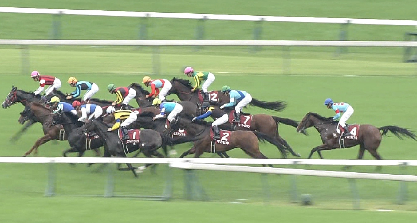 【競馬/毎日王冠】天才リーディングこと戸崎圭太さん渾身の出遅れギャグ