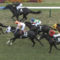 【競馬/2歳OP】戸崎圭太さん、ヴァイザーを飛ばしてキャロット会員激怒