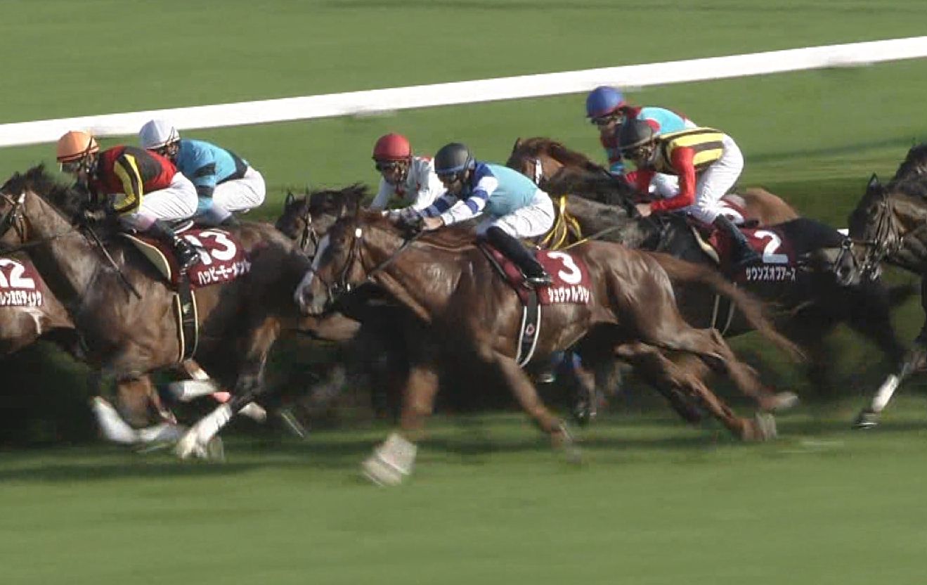 【競馬】今年の春の天皇賞で1番人気に推されそうなシュヴァルグランに不安要素はあるのか?