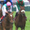 【競馬】凱旋門賞日本売上41億5000万wwwwwwwww