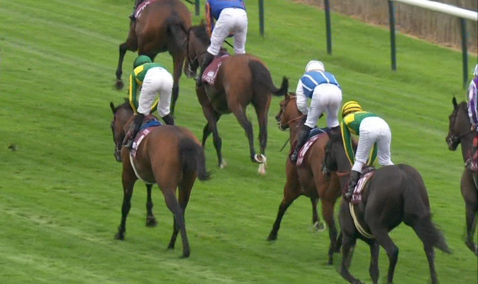 【競馬/宝塚記念】サトノダイヤモンド完全復活。池江「上積みある」
