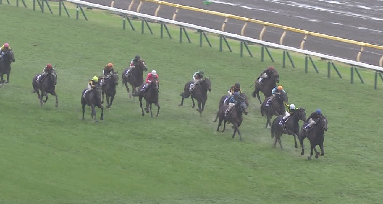 【競馬・天皇賞秋】悲報　日曜府中は重馬場っぽい