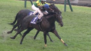 【競馬/有馬記念】正直キタサンブラックはピークを過ぎたと思う奴いる? 【競馬/有馬記念】正直キタサンブラックはピークを過ぎたと思う奴いる?