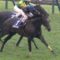 【競馬】もう天皇賞（秋）GII降格で良くね？