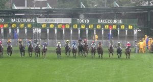 【競馬/天皇賞秋】キタサンブラック出遅れｗｗｗｗｗｗｗｗ
