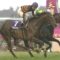 【競馬】今回の凱旋門賞、キタサンブラックなら何着だった？