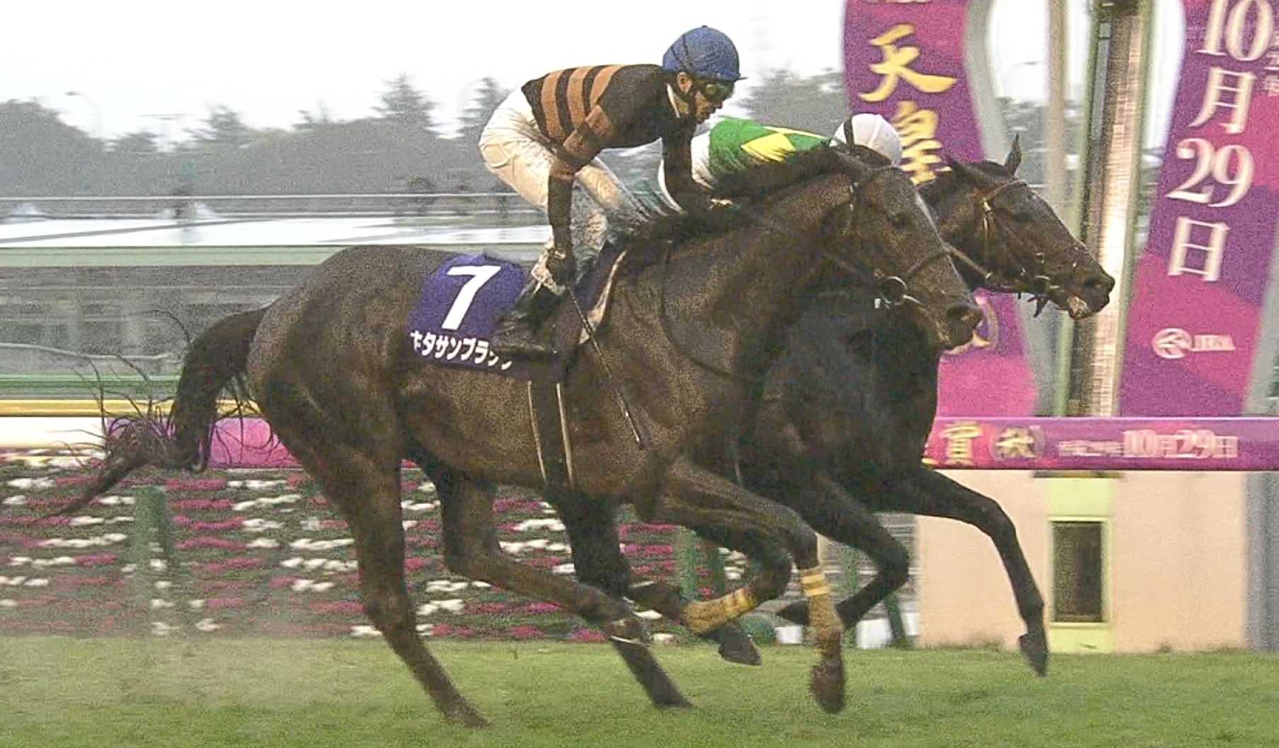 【競馬】キタサンブラックが引退した後の古馬王道路線