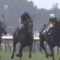 【競馬】キタサンブラックが凱旋門行けば勝てると思う？