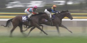 【競馬・ジャパンC】武豊の最後方大外一気ｗｗｗマカヒキ復活ｗｗｗｗｗｗｗｗｗｗｗｗｗｗｗｗｗｗｗｗｗｗ