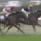 【競馬】マカヒキ（牡7）が古馬になってから約２億円も稼いでる件