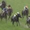 【競馬/天皇賞秋】福永をクビにしてからのサトノクラウンすごすぎ