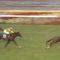 【競馬】エアスピネル　ポツン