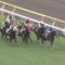 【競馬】シュヴァルグランにデムーロ、ヴィブロスに仏永乗せた大魔神佐々木