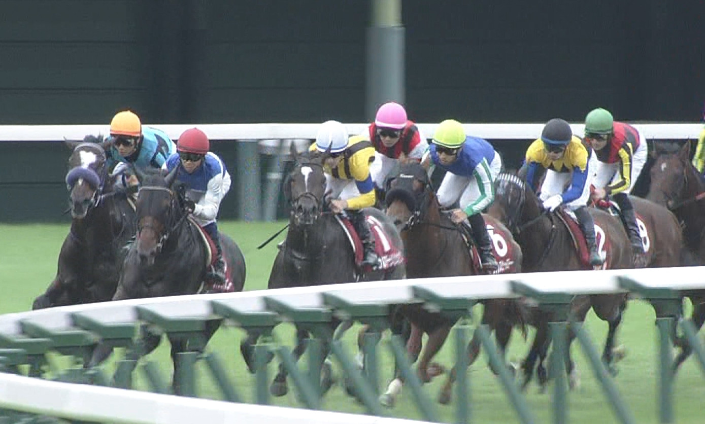 【競馬/毎日王冠】ソウルスターリングとはなんだったのか【1番人気8着】