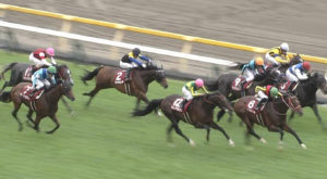 【競馬/毎日王冠】マカヒキ弱すぎワロタwwwwwwwww