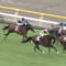 【競馬/毎日王冠】マカヒキ弱すぎワロタwwwwwwwww