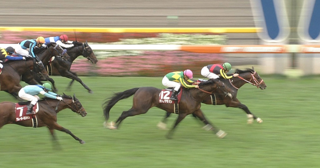 【競馬/毎日王冠】上司「◎リアルスティール」俺「終わってる馬ですね。サトノアラジンにしたほうがいいですよ」上司「サトノなんて買うぐらいなら外れた方がマシだ」
