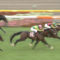 【競馬】フラッシュ秋天・リアステ毎日王冠みたいな復活劇の見極め