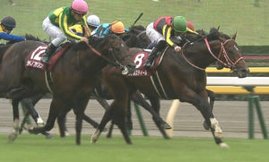 【競馬】毎日王冠の思い出