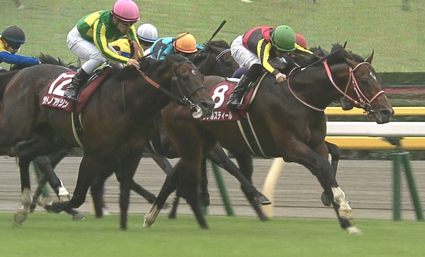 【競馬】毎日王冠の思い出