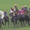 【競馬】12日土曜東京、京都開催予測