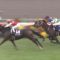 【競馬】2019年ディアドラのローテが凄すぎる件