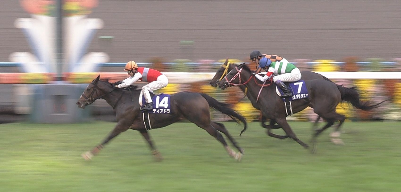 【競馬】ハービンジャー牝馬の成長力