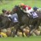 【競馬/中山記念】ディアドラ　斤量54kgｗｗｗｗｗｗｗｗｗ