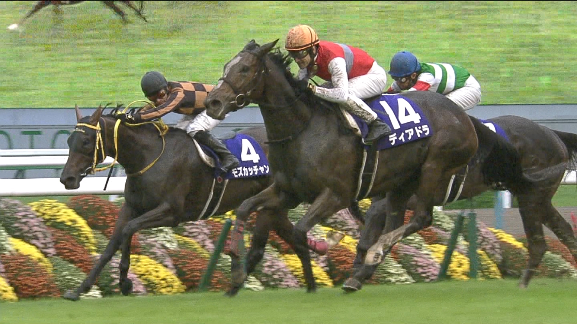 【競馬】毎回ルメール、デムーロだなwww www