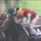 【競馬・サウジ】バーレーンの馬に負けるディアドラ弱すぎワロタｗｗｗｗｗｗｗｗｗｗｗｗｗｗｗｗｗｗ