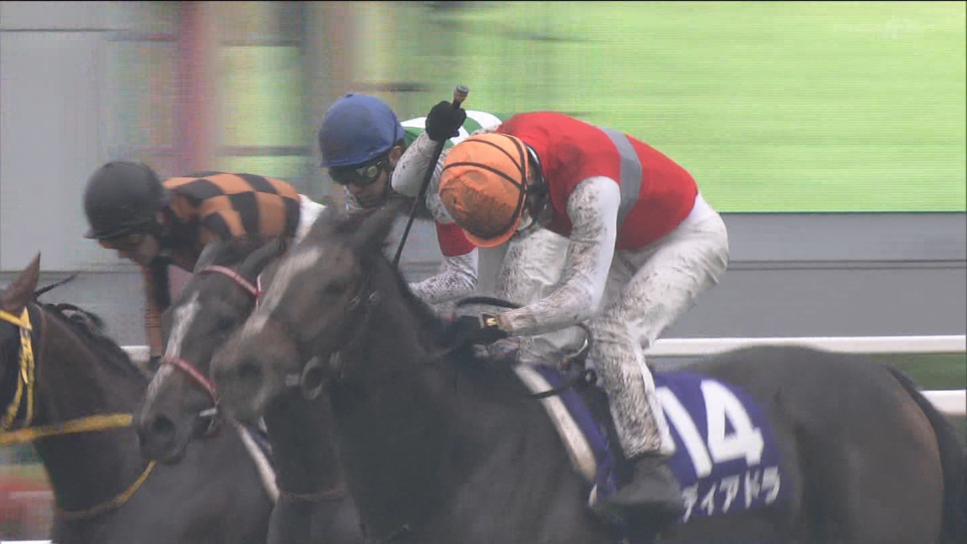【競馬】ディアドラ　来年最大目標は凱旋門賞　次走はマーフィーと相談