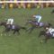 【競馬/秋華賞】ミリッサと福永
