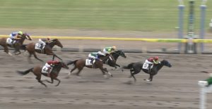【競馬】天才菜七子。新潟3R サンデーレーシングの馬で快勝