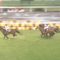 【競馬/香港ヴァーズ】キセキ弱すぎｗｗｗｗｗｗｗｗｗ