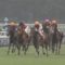 【競馬/凱旋門賞】現地は雨、重馬場の鬼クリンチャーにとって最高の条件へ