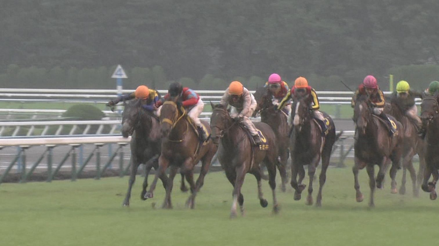 【競馬】フォア賞に出走するキセキの調教にシュミノーが騎乗している件