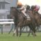 【競馬】香港遠征のキセキ右前脚跛行、サトノアラジン鼻出血