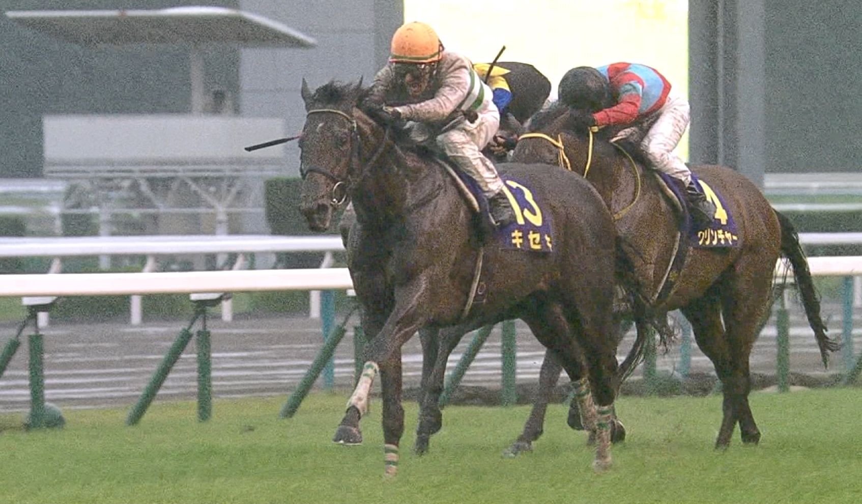 【競馬/日経賞】キセキ人気無さすぎｗｗｗｗｗｗ