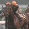 【競馬】中竹厩舎（角居厩舎の全馬が臨時転厩中）、怒涛の勢いでリーディング2位に浮上