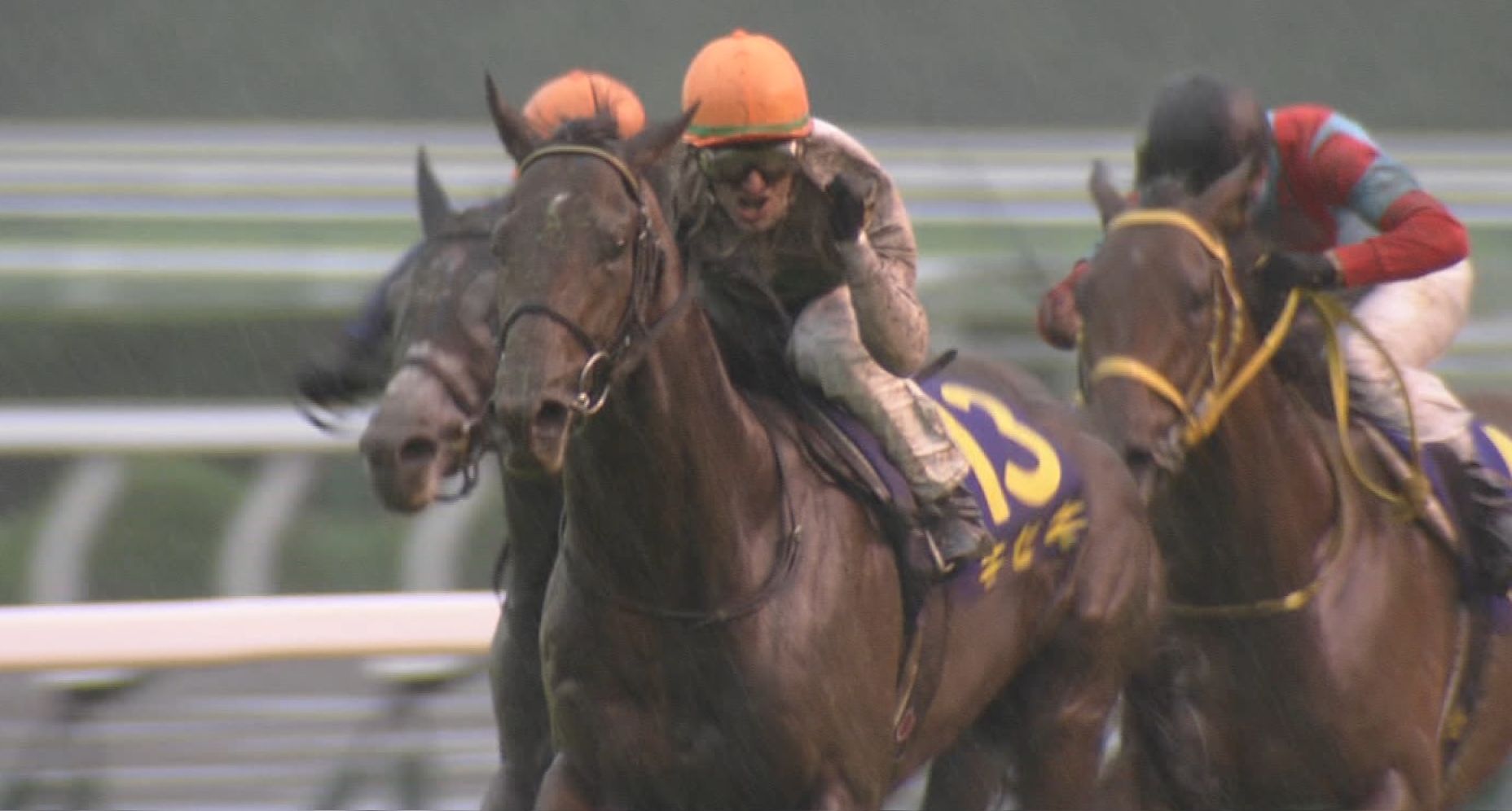 【競馬】菊花賞走った馬もうしばらく走れないだろw 【競馬】菊花賞走った馬もうしばらく走れないだろw