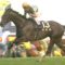 【競馬】ルーラーシップ産駒、キセキ以外で非ノーザンだと1000万勝ちすらいない