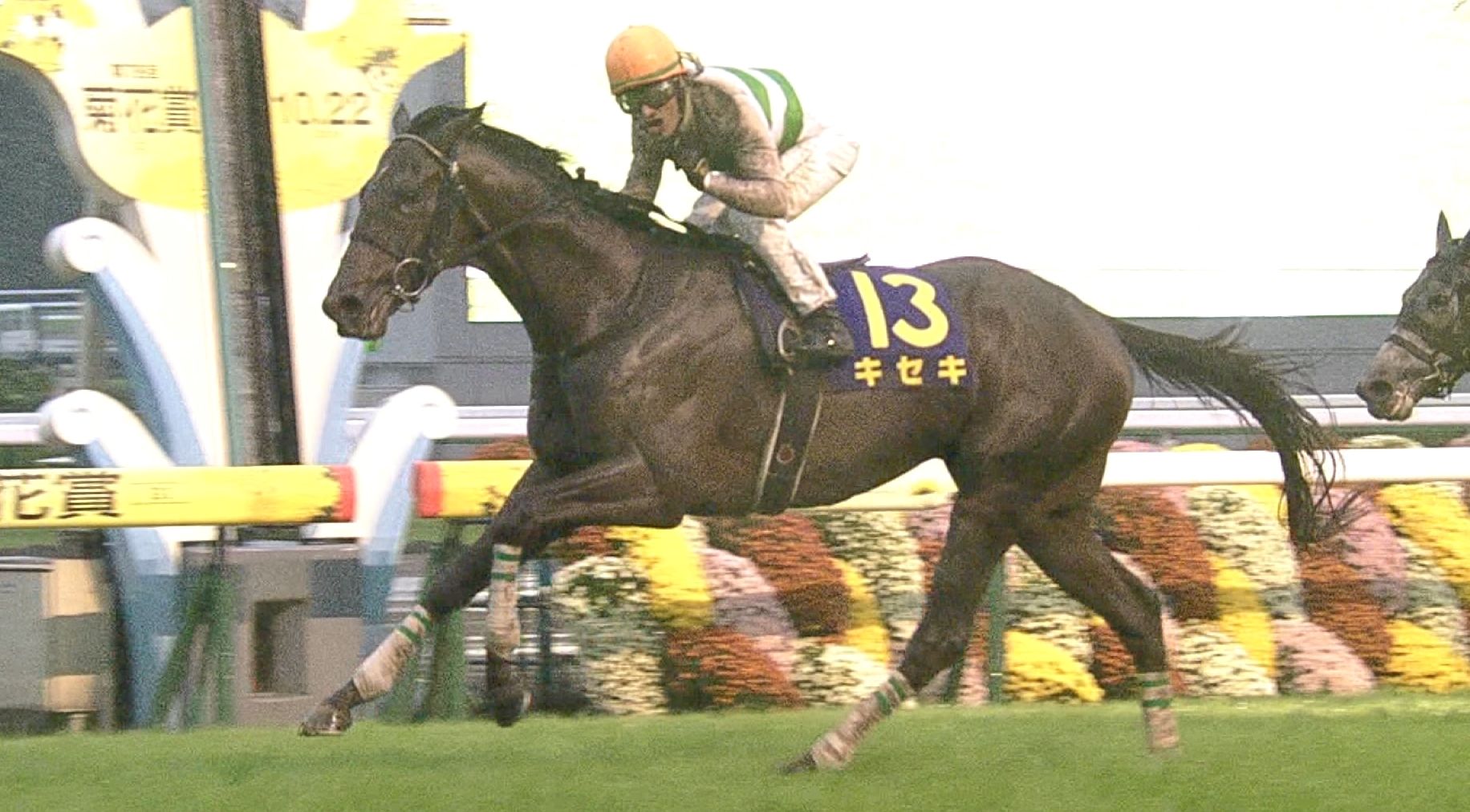 【競馬】ルーラーシップ産駒、キセキ以外で非ノーザンだと1000万勝ちすらいない