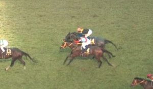 【競馬/菊花賞】2着クリンチャーって何だよ!!!!! 【競馬/菊花賞】2着クリンチャーって何だよ!!!!!
