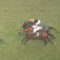 【競馬/菊花賞】2着クリンチャーって何だよ！！！！！