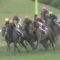 【競馬】ダンビュライト　主な勝鞍：２歳新馬ｗｗｗｗｗｗｗｗｗｗｗｗｗ