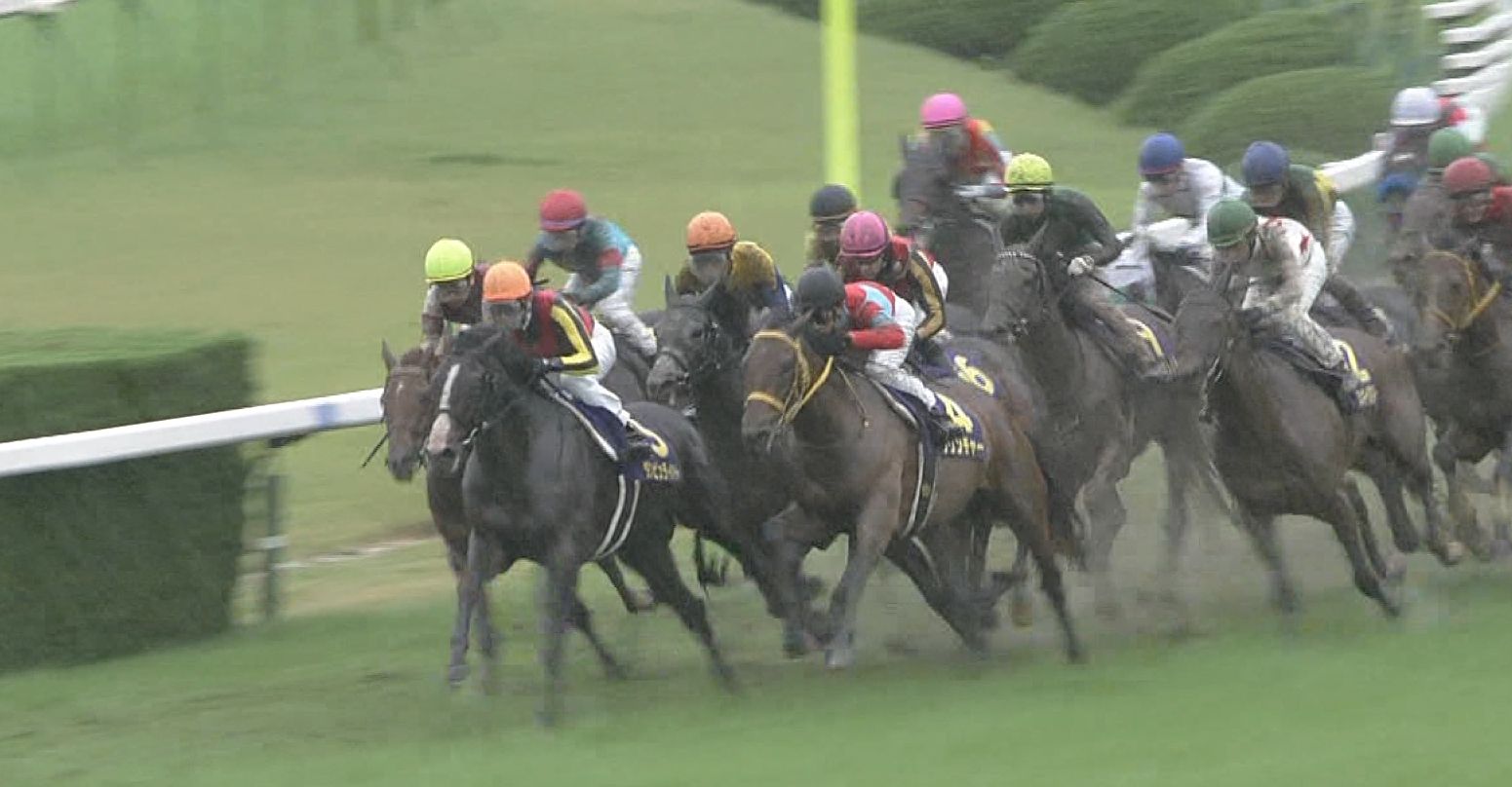【競馬】道悪＝ステイゴールド産駒とは何だったのか？？？【菊花賞4頭出し】