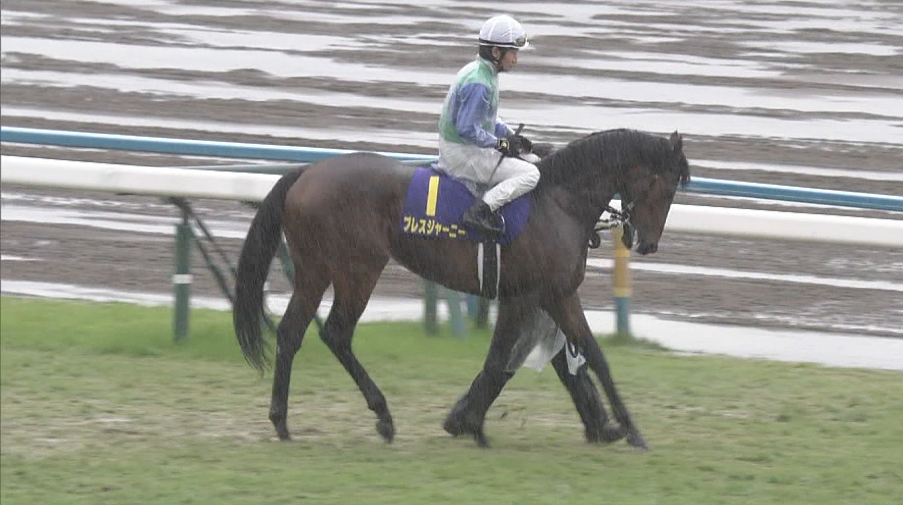 【競馬】有馬記念、ブレスジャーニーの鞍上は変更！！