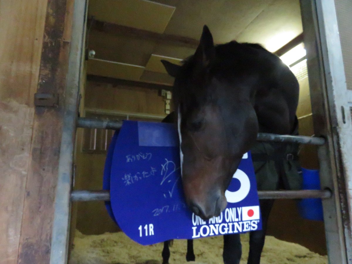 【競馬】ワンアンドオンリーさんガチのマジで引退
