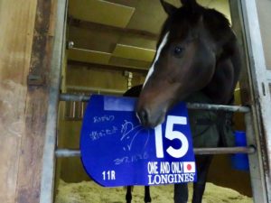【競馬】ワンアンドオンリーさんガチのマジで引退