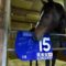 【競馬】ワンアンドオンリーさんガチのマジで引退